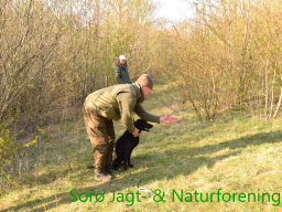 Hundetræning forår 2019